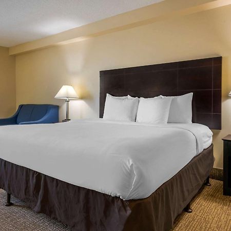 Comfort Inn International Drive Windermere Værelse billede
